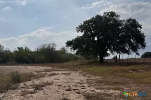 4689 County Rd 302, Runge, TX 78151 - Photo 15