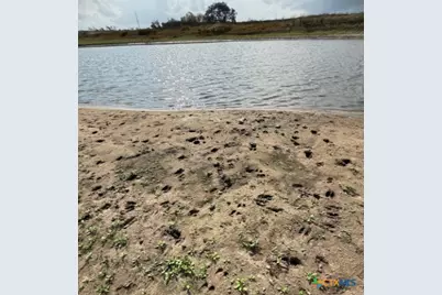 4689 County Road 302, Runge, TX 78151 - Photo 21