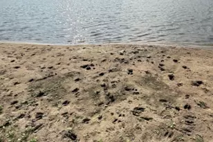 4689 County Rd 302, Runge, TX 78151 - Photo 21