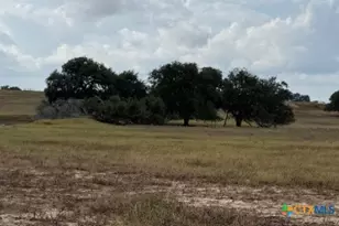 4689 County Rd 302, Runge, TX 78151 - Photo 13