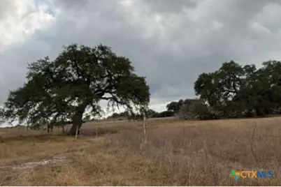 4689 County Road 302, Runge, TX 78151 - Photo 5