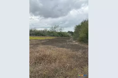 4689 County Road 302, Runge, TX 78151 - Photo 37