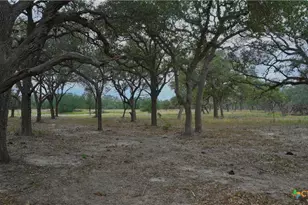 000 Garcitas Creek Ranch Rd, Inez, TX 77968 - Photo 11