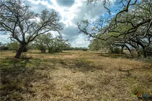 698 Hilbrich Rd, Westhoff, TX 77994 - Photo 15