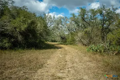 698 Hilbrich Road, Westhoff, TX 77994 - Photo 21