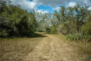 698 Hilbrich Rd, Westhoff, TX 77994 - Photo 21