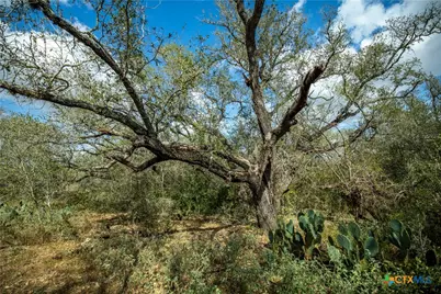 698 Hilbrich Road, Westhoff, TX 77994 - Photo 19