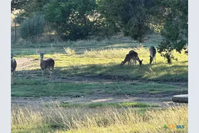 1113 Lutheran Church Road, Copperas Cove, TX 76522 - Photo 19