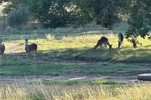 1113 Lutheran Church Rd, Copperas Cove, TX 76522 - Photo 19