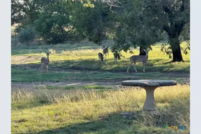 1113 Lutheran Church Road, Copperas Cove, TX 76522 - Photo 21