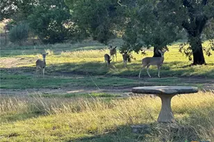 1113 Lutheran Church Rd, Copperas Cove, TX 76522 - Photo 21