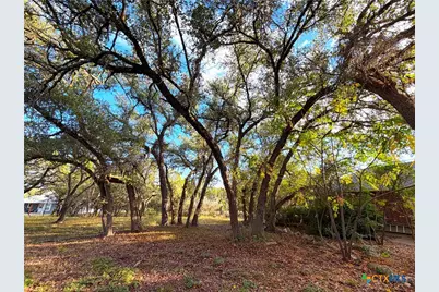 2741 Connie Drive, Canyon Lake, TX 78133 - Photo 31