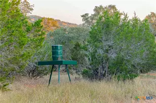 8507 Hammetts Crossing, Round Mountain, TX 78663 - Photo 35