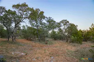 8507 Hammetts Crossing, Round Mountain, TX 78663 - Photo 33
