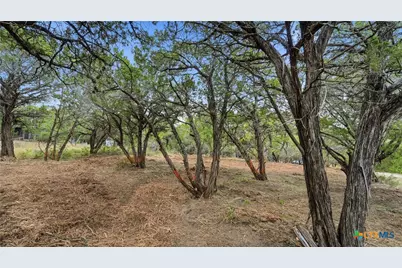 799 Hillside Loop, Canyon Lake, TX 78133 - Photo 3