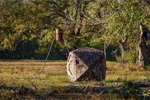 15145 Alternate 90, Kingsbury, TX 78638 - Photo 37