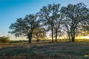 15145 Alternate 90, Kingsbury, TX 78638 - Photo 27