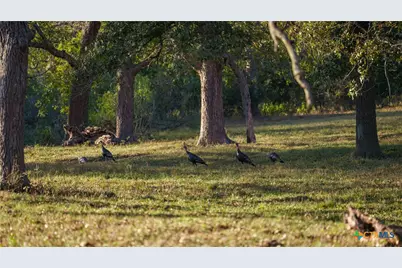 15145 Alternate 90, Kingsbury, TX 78638 - Photo 39