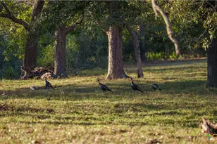 15145 Alternate 90, Kingsbury, TX 78638 - Photo 39