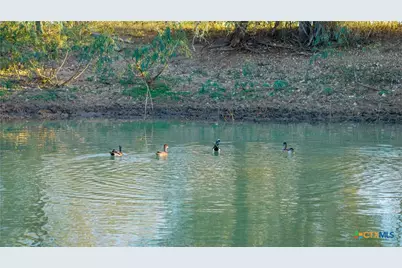 15145 Alternate 90, Kingsbury, TX 78638 - Photo 19