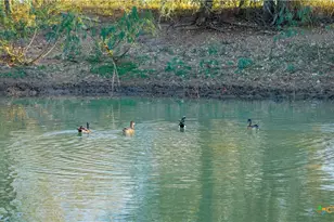 15145 Alternate 90, Kingsbury, TX 78638 - Photo 19