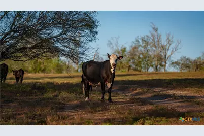 15145 Alternate 90, Kingsbury, TX 78638 - Photo 29