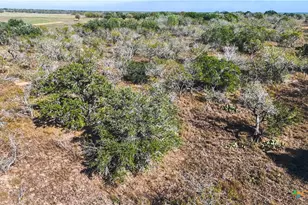 74 Co Rd 454, Stockdale, TX 78160 - Photo 19