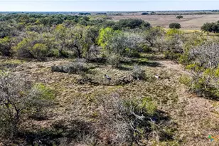 74 Co Rd 454, Stockdale, TX 78160 - Photo 11