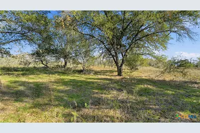 74 County Road 454, Stockdale, TX 78160 - Photo 9