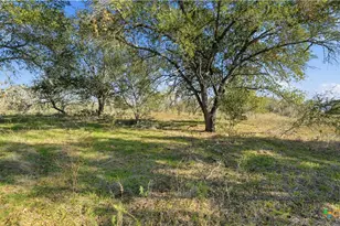 74 Co Rd 454, Stockdale, TX 78160 - Photo 9
