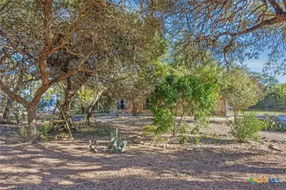 1463 Birch Lane, Fischer, TX 78623 - Photo 5