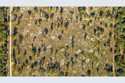 Tbd Turkey Tree Trail, Seguin, TX 78155 - Photo 7