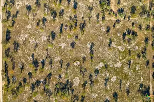 Tbd Turkey Tree Trail, Seguin, TX 78155 - Photo 7