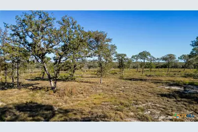 Tbd Turkey Tree Trail, Seguin, TX 78155 - Photo 9