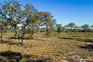 Tbd Turkey Tree Trail, Seguin, TX 78155 - Photo 9