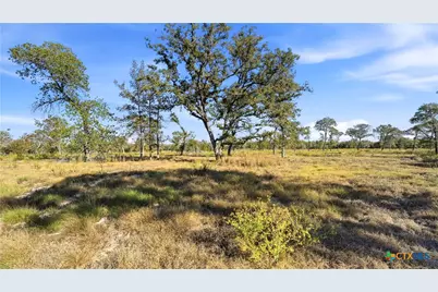 Tbd Turkey Tree Trail, Seguin, TX 78155 - Photo 15
