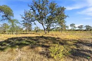 Tbd Turkey Tree Trail, Seguin, TX 78155 - Photo 15