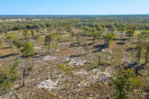 Tbd Turkey Tree Trail, Seguin, TX 78155 - Photo 11