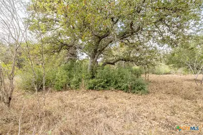 Tbd Metz, Weesatche, TX 77993 - Photo 9