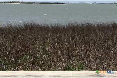 00 Bayside Drive, Seadrift, TX 77983 - Photo 9