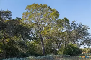 3012 US Hwy 77, Hallettsville, TX 77964 - Photo 39