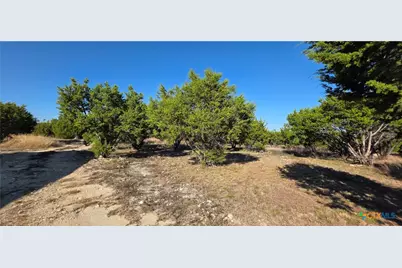 1266 Marissa Drive, Copperas Cove, TX 76522 - Photo 19