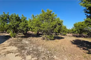 1266 Marissa Dr, Copperas Cove, TX 76522 - Photo 19