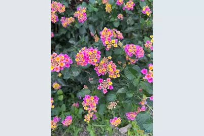 859 Morningwood Drive, San Marcos, TX 78666 - Photo 41