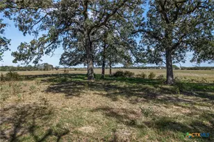 Tbd US Hwy 77, Hallettsville, TX 77964 - Photo 11