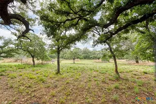 20 Acres Guadalupe Ranch Ln, Seguin, TX 78155 - Photo 41