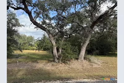 127 Center Tree Drive, Palacios, TX 77465 - Photo 5