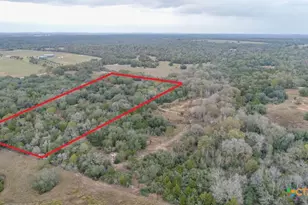 4623 Co Rd 444, Waelder, TX 78959 - Photo 5