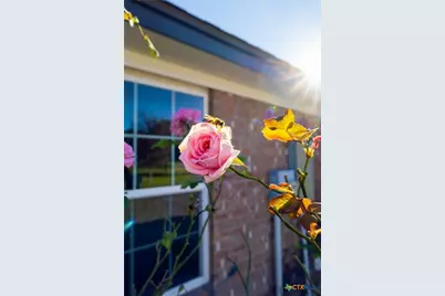 2010 Purple Martin Drive, Killeen, TX 76542 - Photo 47