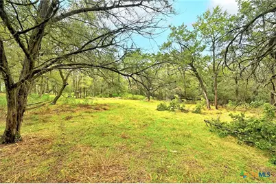 771 Mary Preiss Drive, New Braunfels, TX 78132 - Photo 29